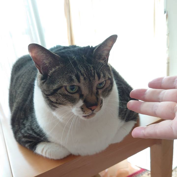 Eabfeb11 9393 418c ad95 34c09879eb93 1596932751488