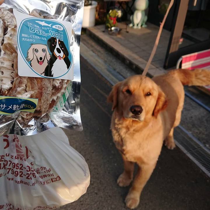 Eabff87b ecc0 4a5a b8ed d740fdd0a22a 1553697578435