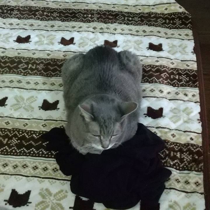 Eac01e6a 22dd 40c5 bbd1 1e7d17e3571c 1668398478122