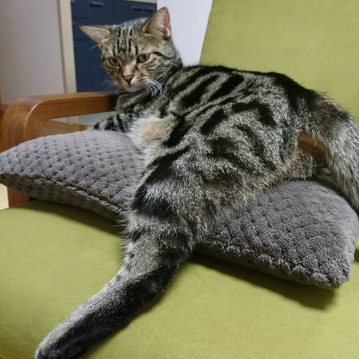 Eac0294d aeac 4356 8b69 99da942c41ae 1509976115600