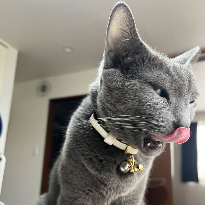 Eac02a2c d469 4661 8686 318e47c73480 1683945237916