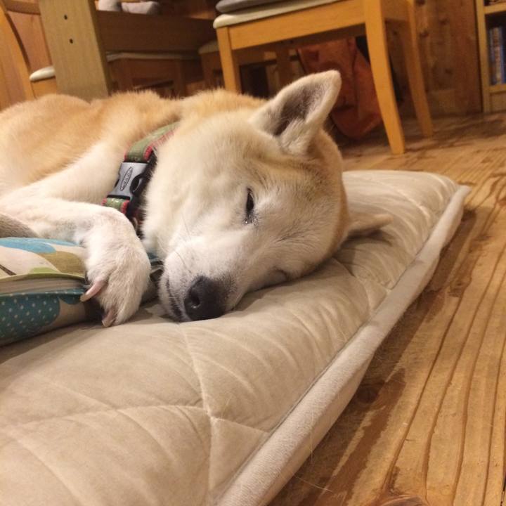 Eac02f9c c0fb 4f37 946e 1490a8d8efc6 1579962094818