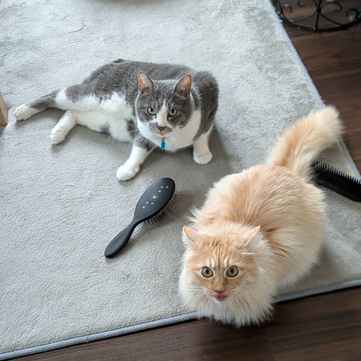 Eac03619 97d0 46ba 9a9a ceff34cccfe4 1745474034089