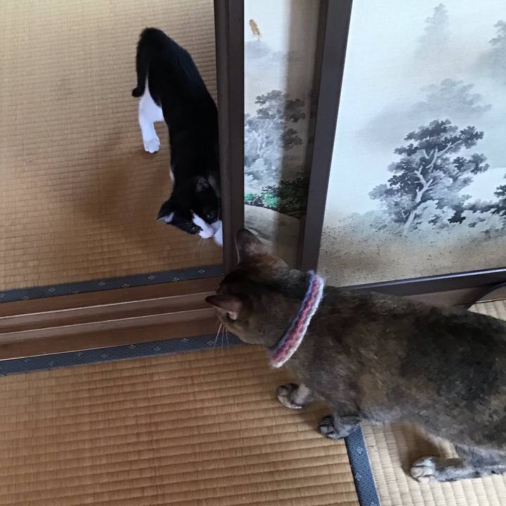 Eac04ce5 d786 44f8 8d10 61c1525ee013 1626321717507