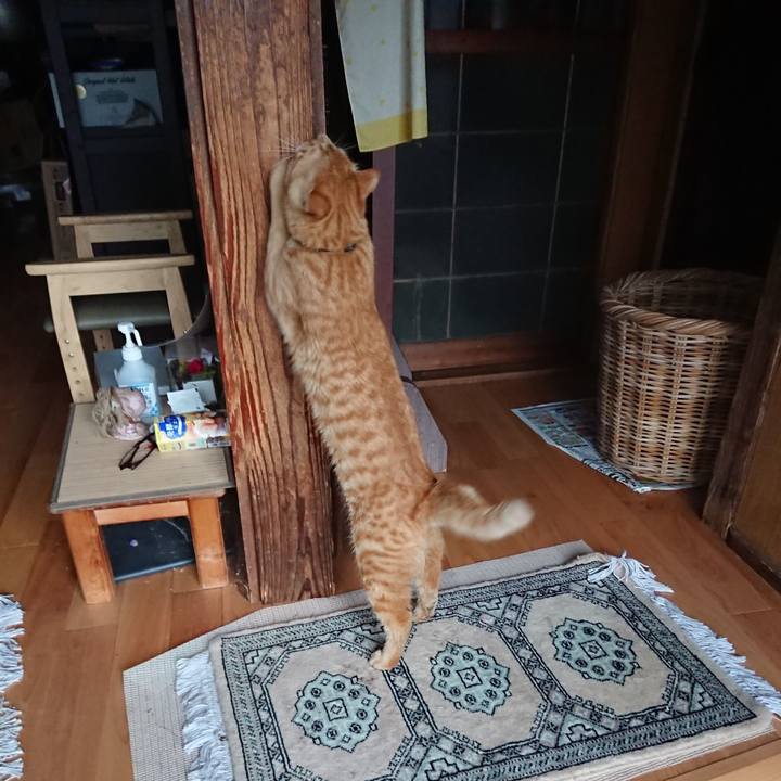 Eac089b3 834b 49f4 a843 f015c211aeae 1651023762417