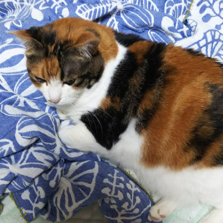 Eac0e422 6bdc 4f8a b8d5 c7686b6cee9a 1537445084159