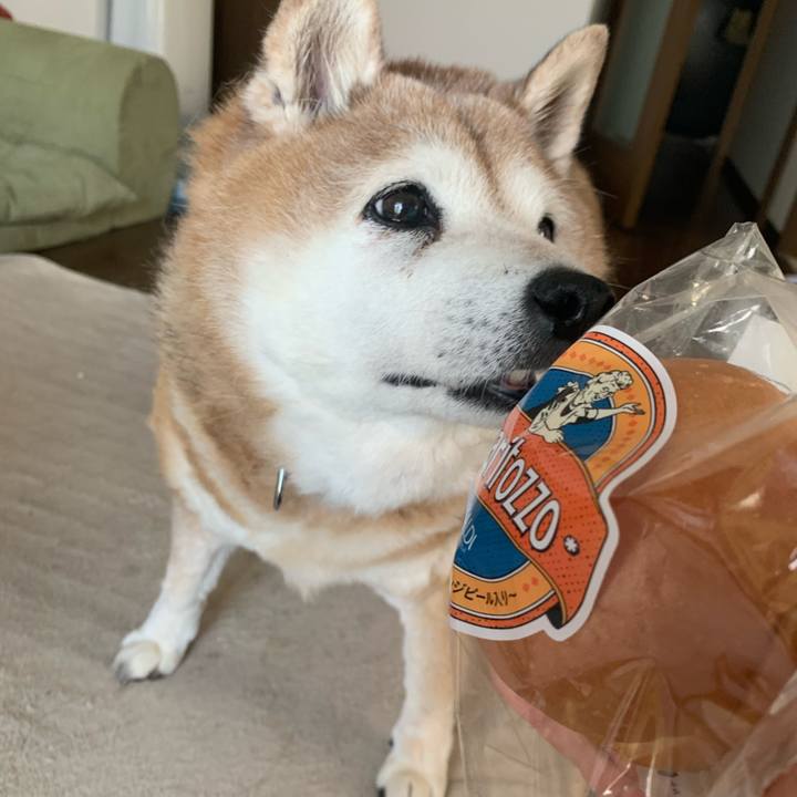 Eac11dd3 25f4 490b 9a80 cf6c8b06f0e4 1619941583078