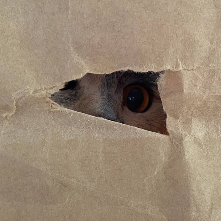 Eac1378b 5904 4880 ad7f 0588600f7a31 1766057620345