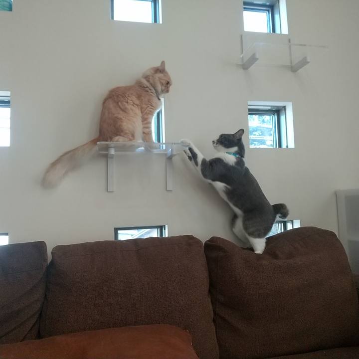 Eac16298 ff81 46ca 95a9 c479aa764a1d 1642310698701