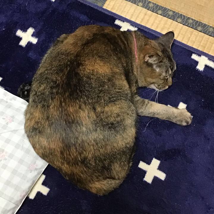 Eac16396 9e97 4521 b380 f8d56b4a9269 1734951192395