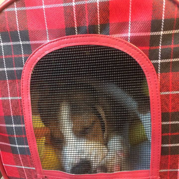 Eac18432 e92d 4c7b bee5 27f188be527a 1544972132848