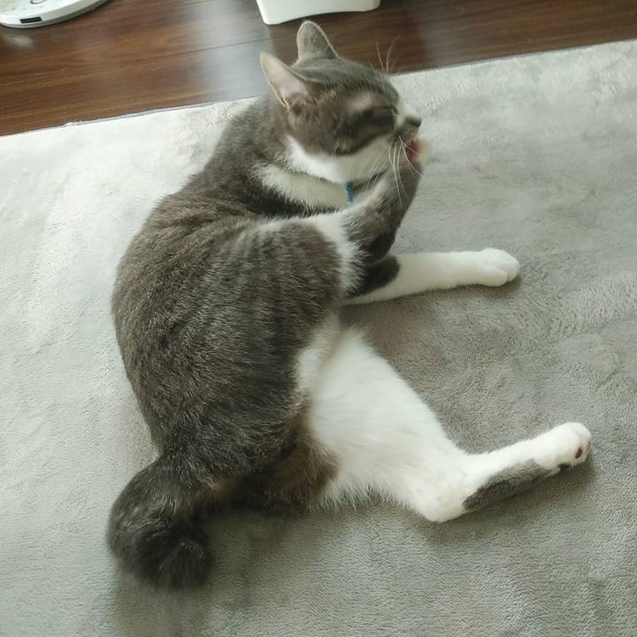 Eac1a346 0690 4659 826c 834baadd4b10 1588200796454