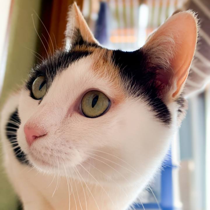 Eac1b069 15bd 4c75 807f ca4a09c3524f 1589594312083