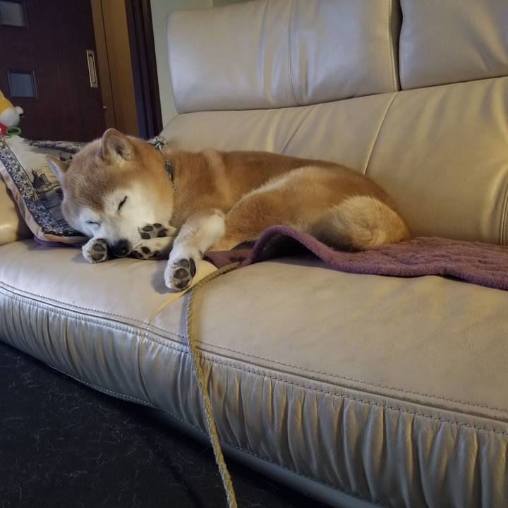 Eac207fa 4c67 48b3 86d3 7c73eac369b5 1703286587482