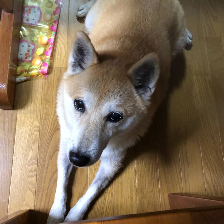 Eac24289 bba1 4764 acba 630c9969c828 1575200764618