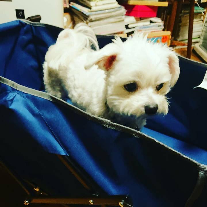 Eac2b1f4 08f0 4053 91c8 7d670dc3d984 1552996400654