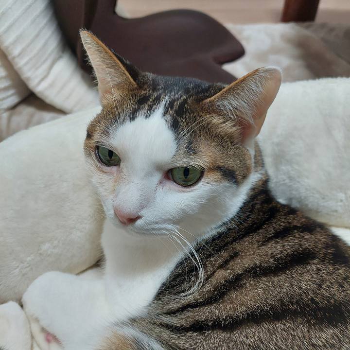 Eac2d13e 8784 4d62 b47d 31ac2019effb 1700694846932