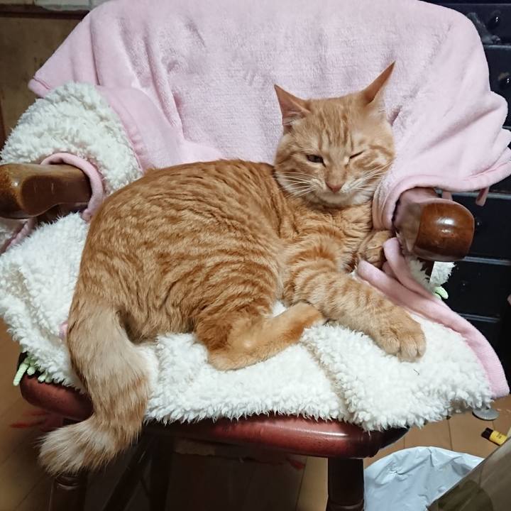 Eac320b9 4329 42ed 8cb3 961164beae18 1638097245523