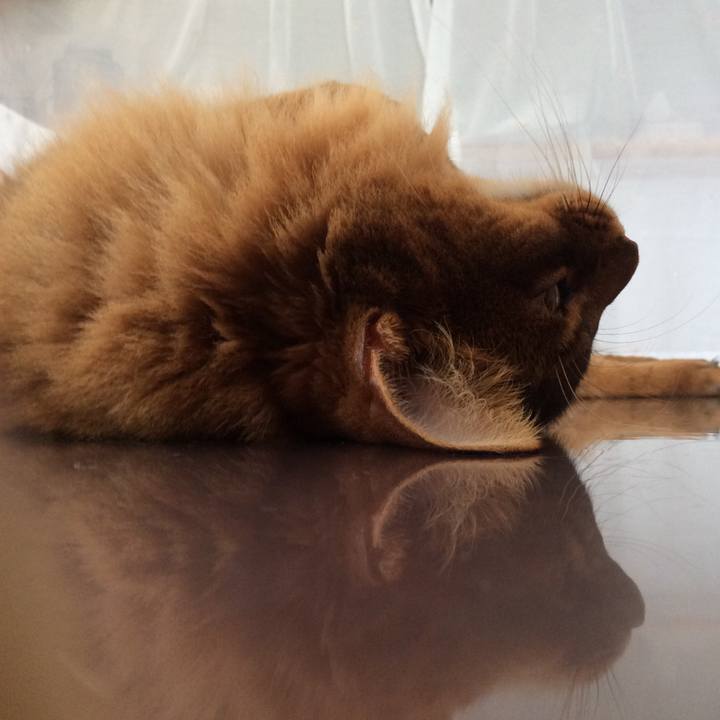 Eac34f72 54cc 411d b37b ec22dfa90f3b 1596174176009