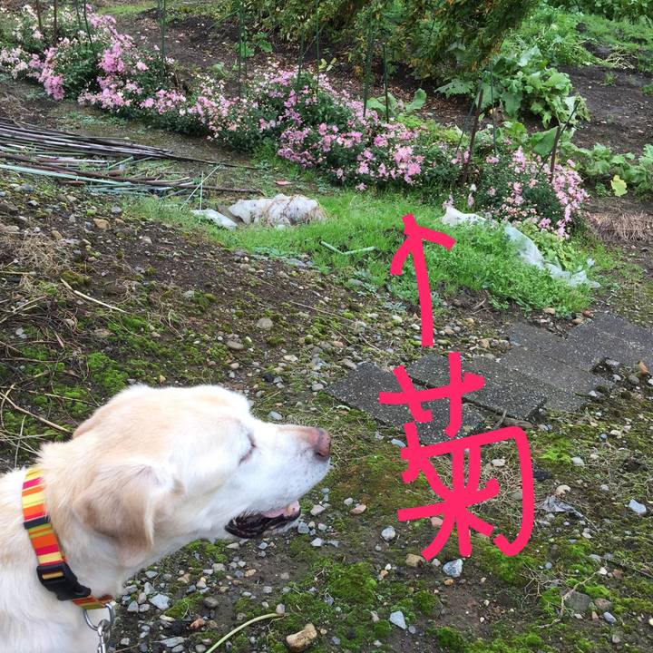 Eac37179 0eef 44df af01 e7e2beb87cc6 1508905462668