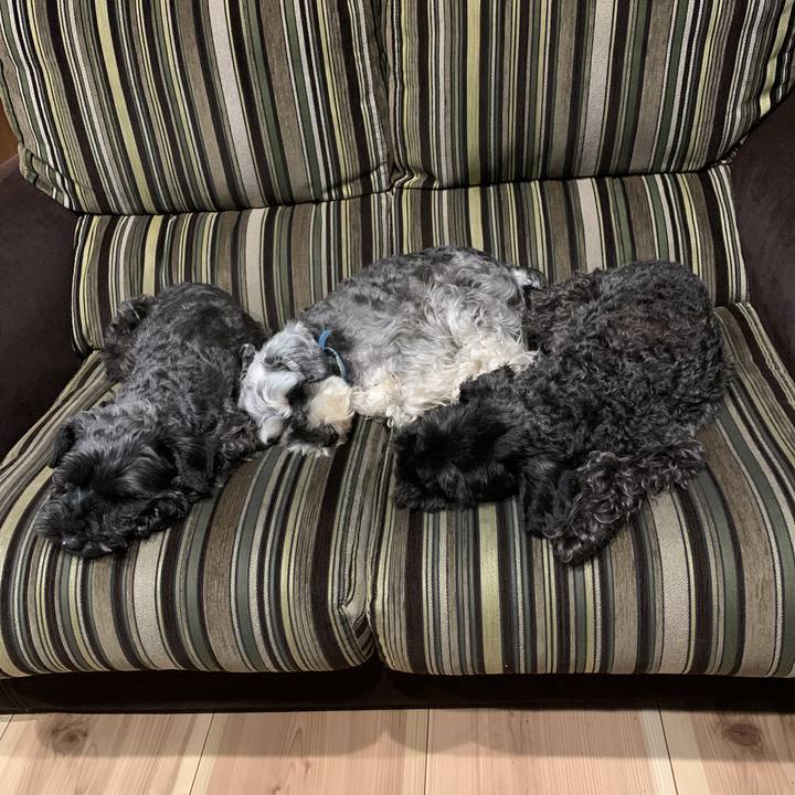 Eac38ac2 2c62 4bd5 b9ef 0087677f8137 1594354976633