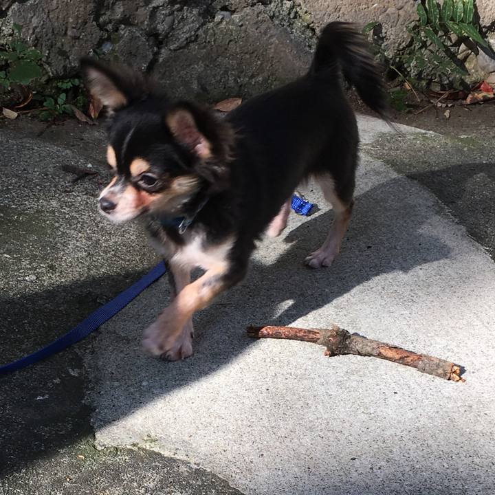 Eac39b88 ce9a 49c5 aa2f c35f6ad6fdcf 1542186743606