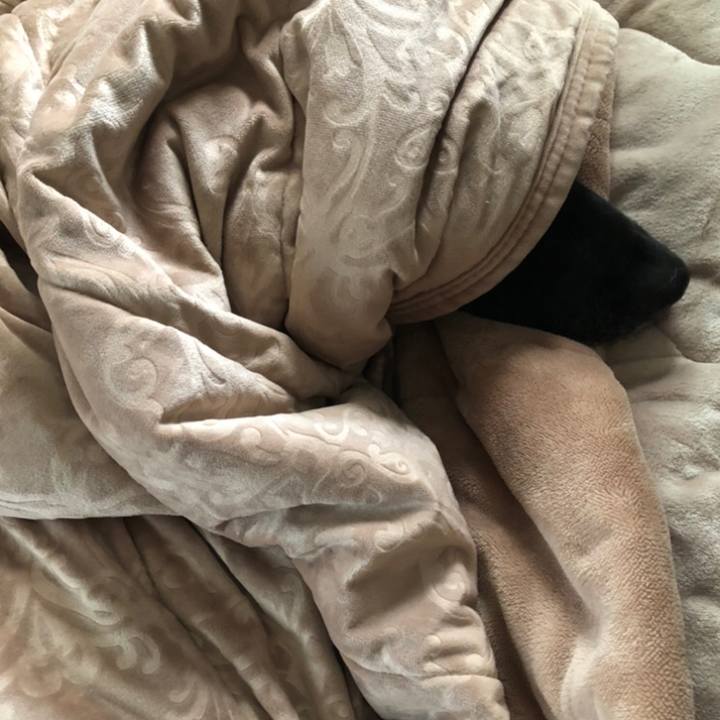 Eac39c99 eeb5 4170 9dc6 7f1d046f21fa 1704074764108