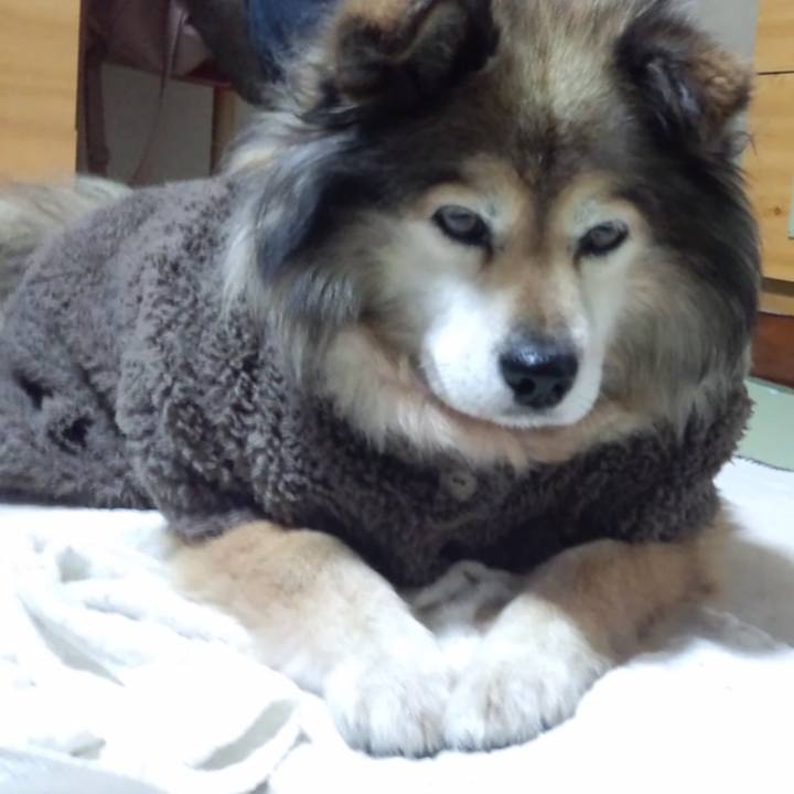 Eac3bc5b 3ba4 4732 a677 832e34257775 1602310875235