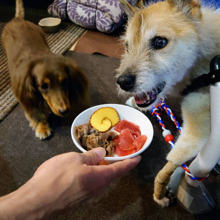 Eac3cbcb ee40 44a2 8af5 8cc7378315ef 1662038445968