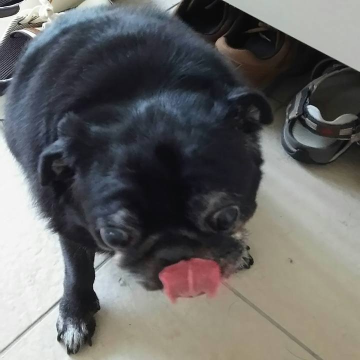 Eac3daa2 b192 4ba0 9197 eb3e361f0bdf 1549422859505