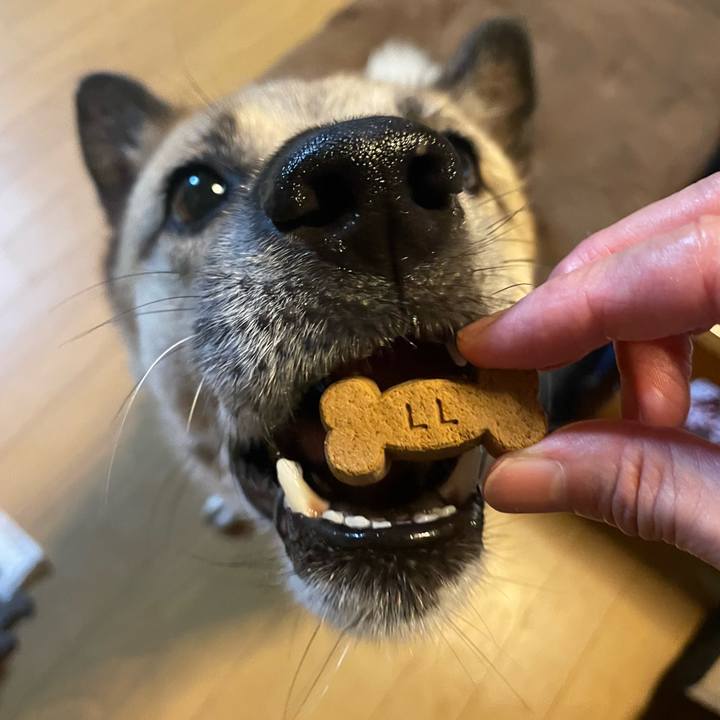 Eac3def4 e3ce 44f6 ac85 1ccfed7d1690 1693572120398