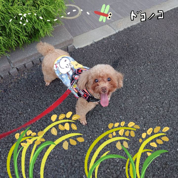 Eac4009e 7ce6 4683 b6bc bf3b7412944f 1761861518640