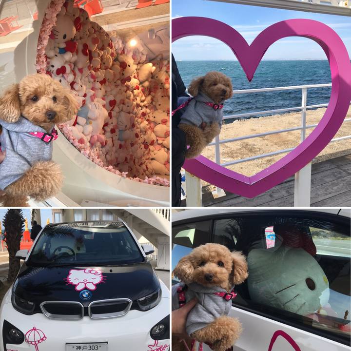 Eac452a4 5bc4 4c3d 9188 be330fd625f9 1550908579764