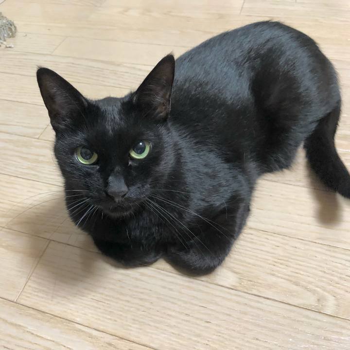 Eac469ab 1d15 4555 8e3f 2422a77969f2 1635521594909