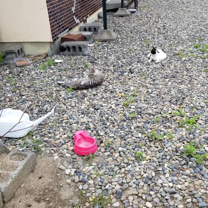 Eac481b6 38db 43cf 83ff 11fcaf831ac3 1655980394661