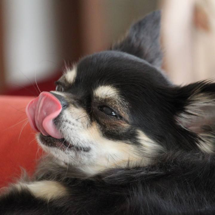 Eac48f61 6e35 437d bdc9 e7fe76c4823e 1544269697219