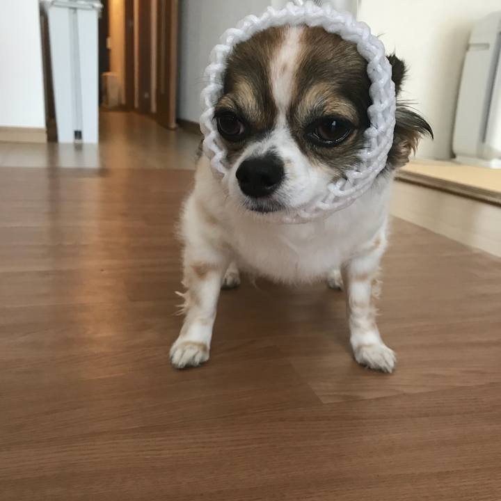 Eac4a1cf f4a7 47fc 84eb 06d27e21575a 1531005435450