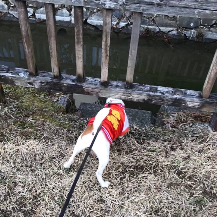 Eac4d850 7e47 4c09 8e9d 6ccc216582ab 1518427531523