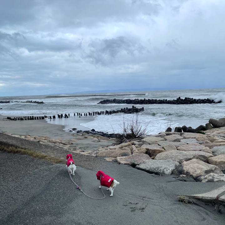 Eac4da45 9521 4bd5 acc1 966005499f1d 1765580628131