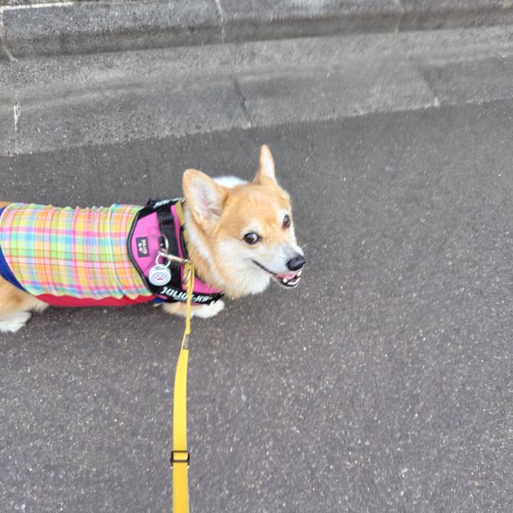 Eac4e03c a4a3 4a63 a7d7 16296ccd5891 1757683249261