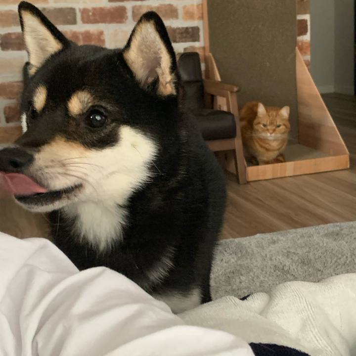 Eac53f4b 2577 4799 85ce 838ab897c9f7 1643180236780