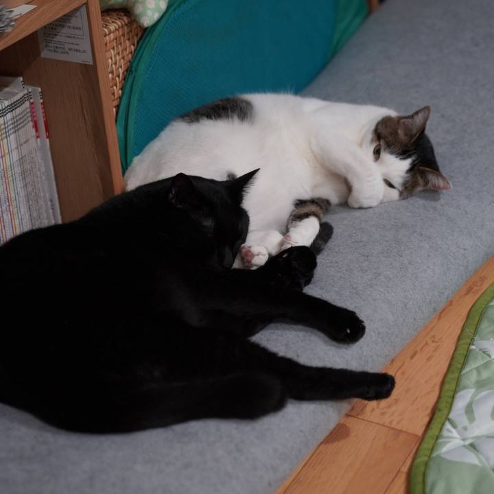 Eac55d7e 7a29 43f7 82f8 e5e089ebea84 1588516321483