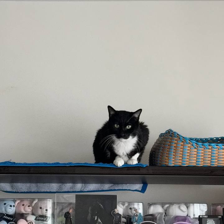 Eac561e3 f596 4e35 8f01 ec5727469392 1776050041010