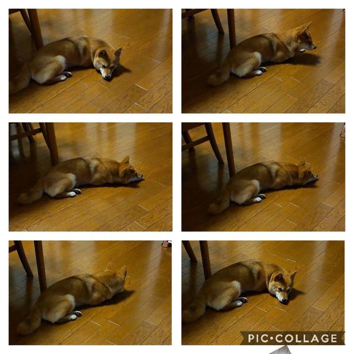 Eac57270 dcee 4392 a0b9 47e8985eb559 1650487970553