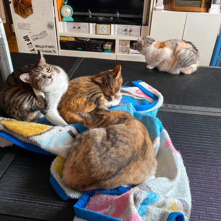 Eac59f14 44e2 4705 8d56 7c3035c6c7a2 1589588848738