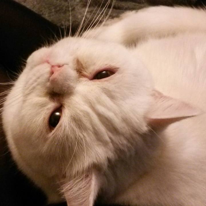 Eac5e6e8 9c2b 4570 bb78 da3b28daf67b 1517488093671