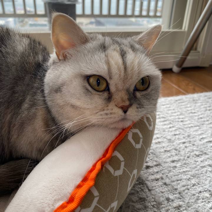 Eac5f385 2b1c 4bfc 95d8 a711d7bcd124 1765601030053