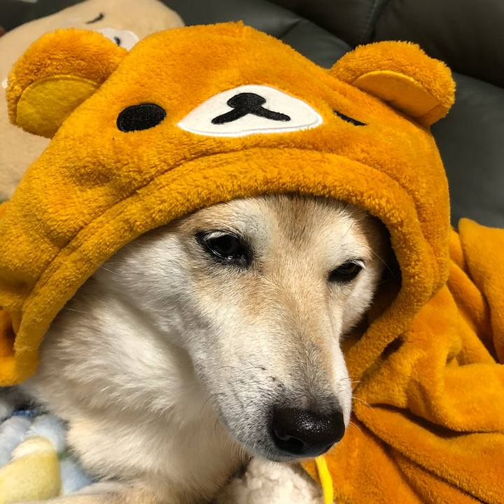 Eac5f3eb c30e 4f63 b154 e3e1228526b4 1576473685354