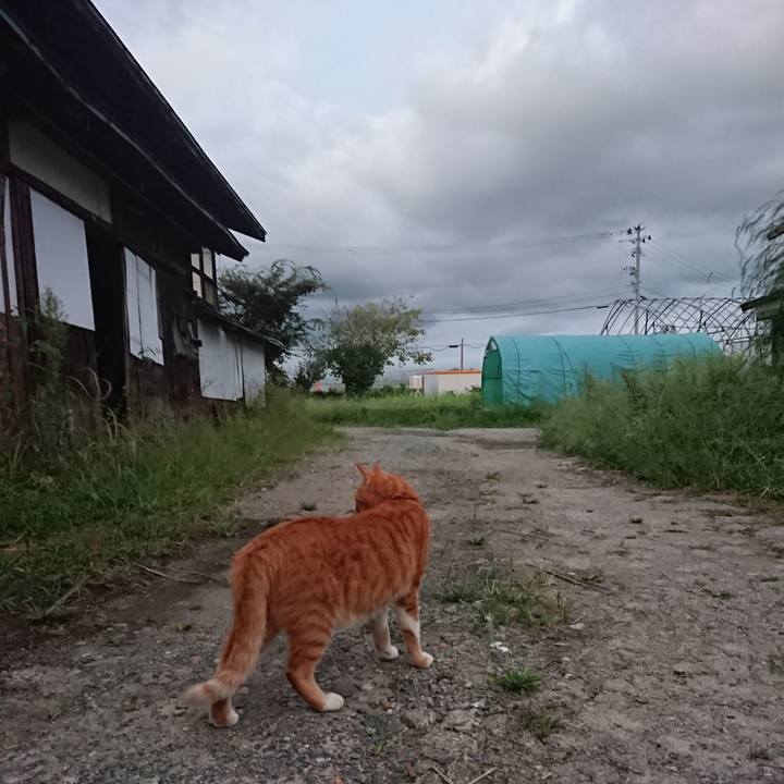 Eac619fa 41ec 49a3 ae69 d9c0491105ce 1600160896195