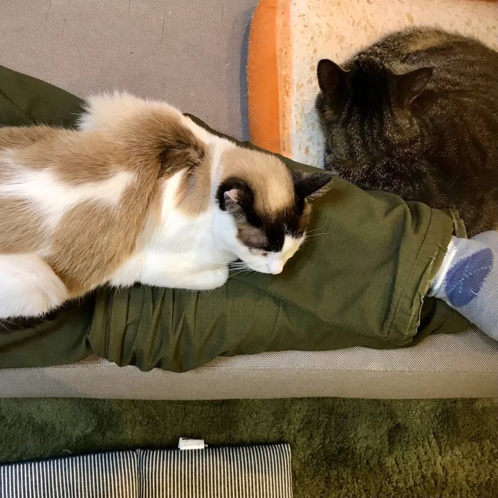 Eac6767c e184 4404 af6e f92768573c2e 1615458615902